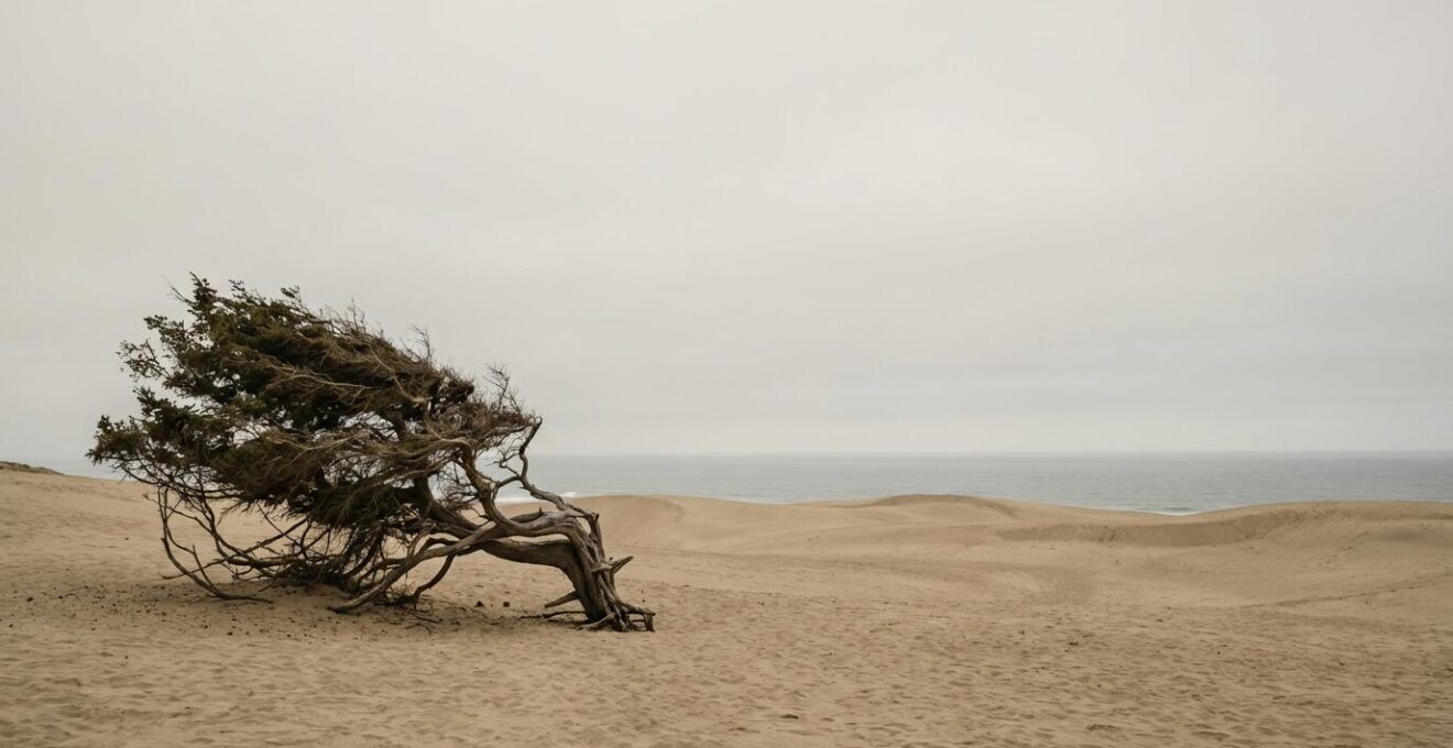 Minimalistische compositie van solitaire boom in duinlandschap met zee op achtergrond