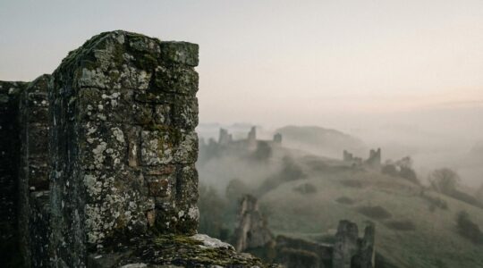 Verlaten middeleeuwse kasteelmuur in Belgisch landschap met mistige ochtendatmosfeer